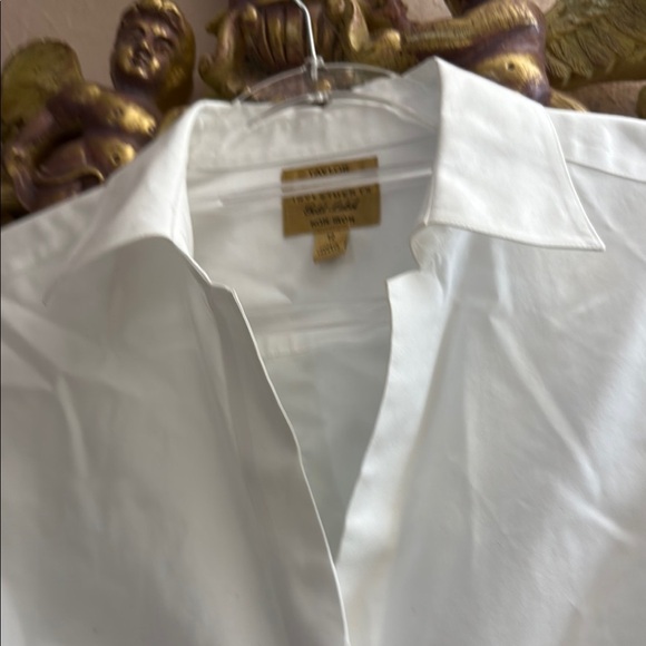 Taylor Investments no iron classic button down with darts and open collar - Picture 3 of 5